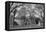 Christopher Wren Building-Philip Gendreau-Framed Premier Image Canvas