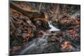 Premium Giclee Print