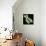 Chromosome, Artwork-Friedrich Saurer-Premium Photographic Print displayed on a wall