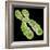 Chromosome, Artwork-Friedrich Saurer-Framed Premium Photographic Print