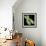 Chromosome, Artwork-Friedrich Saurer-Framed Premium Photographic Print displayed on a wall