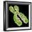 Chromosome, Artwork-Friedrich Saurer-Framed Premium Photographic Print