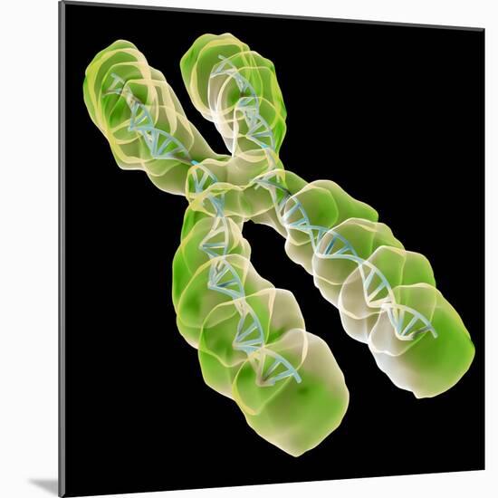 Chromosome, Artwork-Friedrich Saurer-Mounted Premium Photographic Print