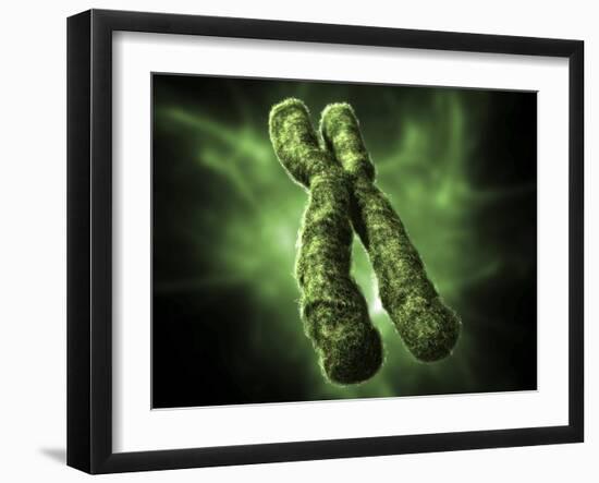 Chromosome, Artwork-Equinox Graphics-Framed Photographic Print