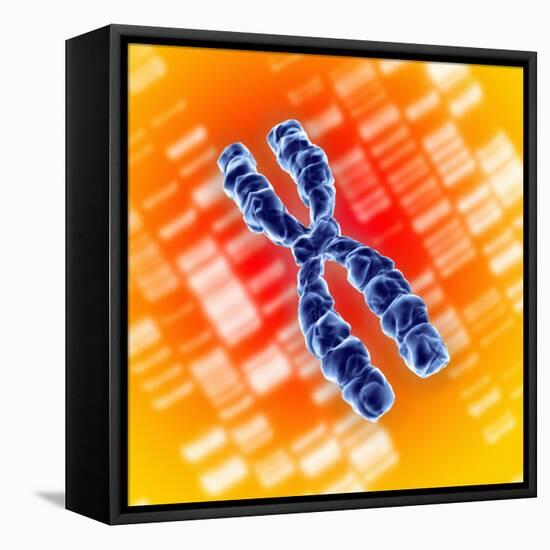 Chromosome-Mehau Kulyk-Framed Premier Image Canvas