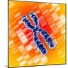 Chromosome-Mehau Kulyk-Mounted Premium Photographic Print