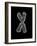 Chromosome-Tim Vernon-Framed Photographic Print