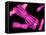 Chromosomes, Artwork-SCIEPRO-Framed Premier Image Canvas