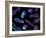 Chromosomes, Artwork-SCIEPRO-Framed Photographic Print