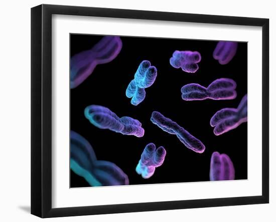 Chromosomes, Artwork-SCIEPRO-Framed Photographic Print