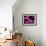 Chromosomes, Artwork-SCIEPRO-Framed Photographic Print displayed on a wall