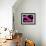 Chromosomes, Artwork-SCIEPRO-Framed Photographic Print displayed on a wall