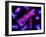 Chromosomes, Artwork-SCIEPRO-Framed Photographic Print