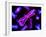 Chromosomes, Artwork-SCIEPRO-Framed Photographic Print