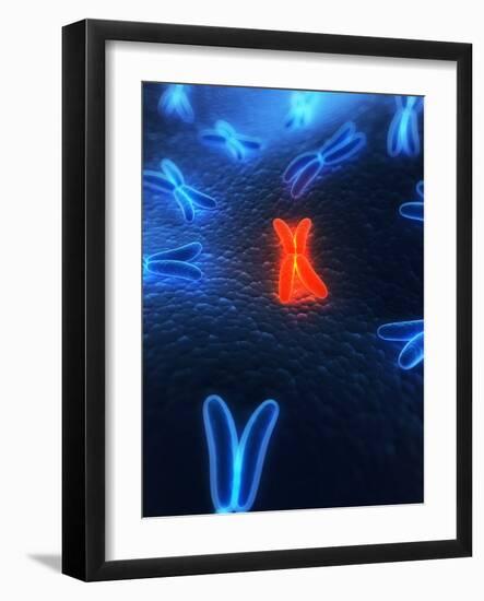 Chromosomes, Artwork-SCIEPRO-Framed Photographic Print