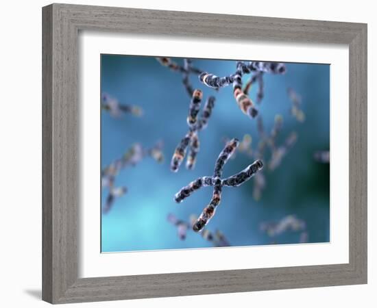 Chromosomes-Equinox Graphics-Framed Photographic Print