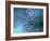 Chromosomes-Equinox Graphics-Framed Photographic Print