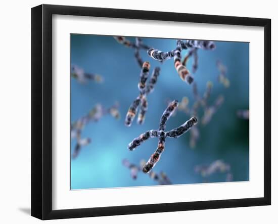Chromosomes-Equinox Graphics-Framed Photographic Print
