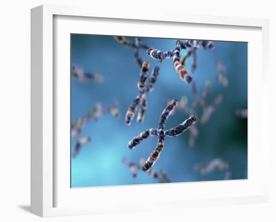 Chromosomes-Equinox Graphics-Framed Photographic Print