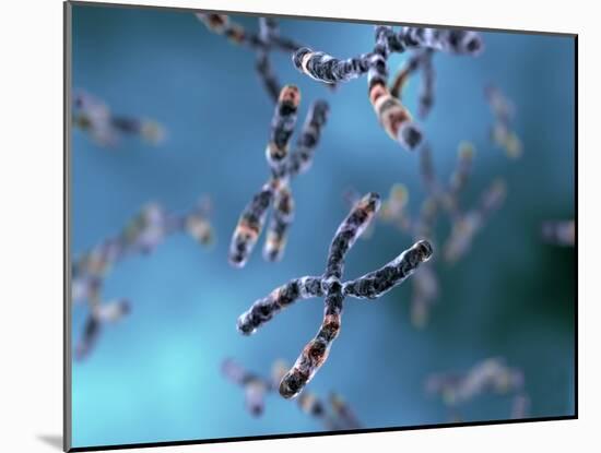 Chromosomes-Equinox Graphics-Mounted Photographic Print