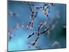 Chromosomes-Equinox Graphics-Mounted Photographic Print