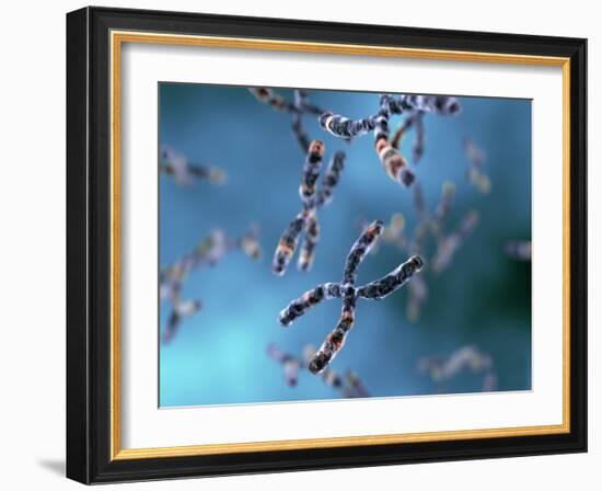 Chromosomes-Equinox Graphics-Framed Photographic Print