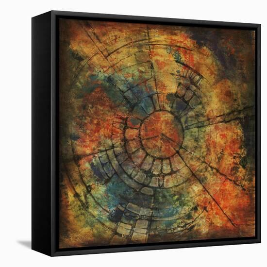 Chrysalis Sphere-Joshua Schicker-Framed Premier Image Canvas