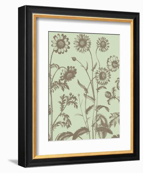 Chrysanthemum 11-Botanical Series-Framed Art Print