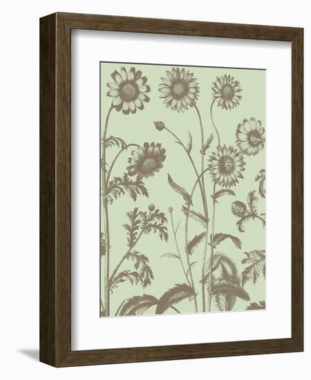 Chrysanthemum 11-Botanical Series-Framed Art Print