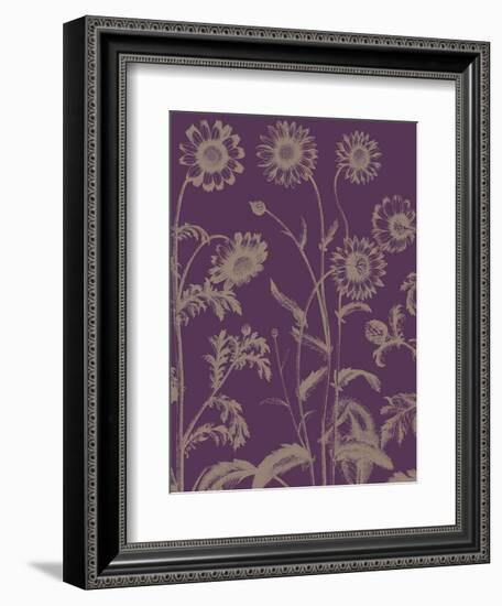 Chrysanthemum 13-Botanical Series-Framed Art Print