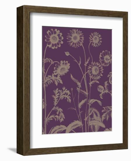 Chrysanthemum 13-Botanical Series-Framed Art Print