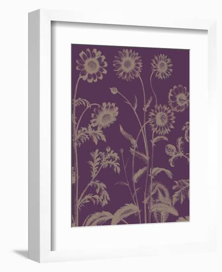 Chrysanthemum 13-Botanical Series-Framed Art Print