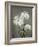 Chrysanthemum, 19th Century-Ogawa Kazuma-Framed Giclee Print