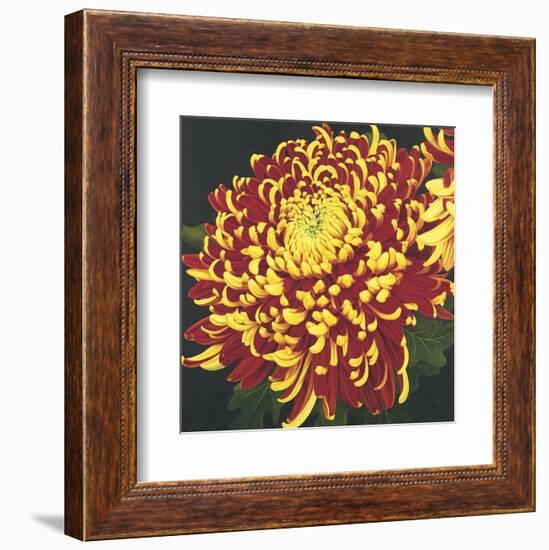 Chrysanthemum 1-Elizabeth Hellman-Framed Art Print