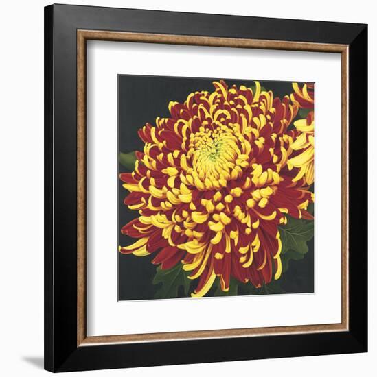 Chrysanthemum 1-Elizabeth Hellman-Framed Art Print