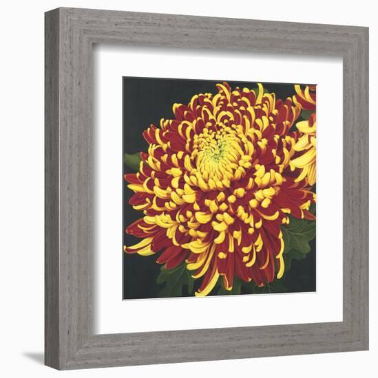 Chrysanthemum 1-Elizabeth Hellman-Framed Art Print