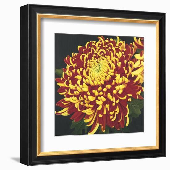 Chrysanthemum 1-Elizabeth Hellman-Framed Art Print