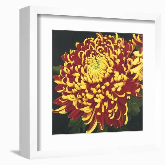 Chrysanthemum 1-Elizabeth Hellman-Framed Art Print