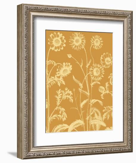 Chrysanthemum 20-Botanical Series-Framed Art Print