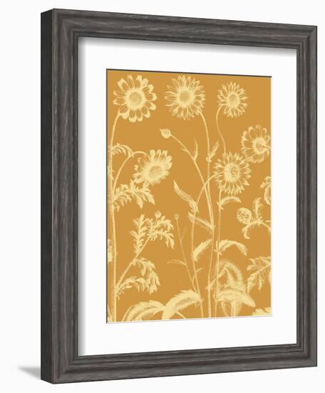 Chrysanthemum 20-Botanical Series-Framed Art Print