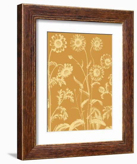 Chrysanthemum 20-Botanical Series-Framed Art Print