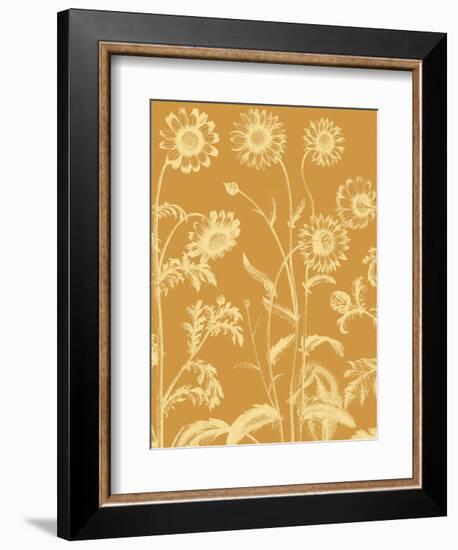 Chrysanthemum 20-Botanical Series-Framed Art Print