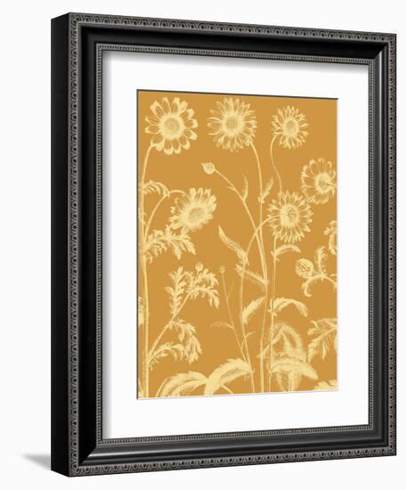 Chrysanthemum 20-Botanical Series-Framed Art Print