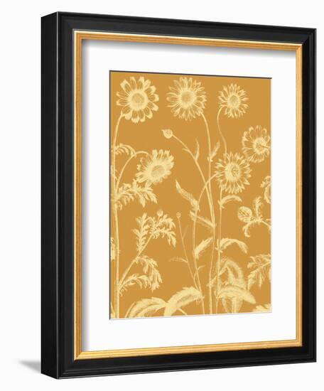 Chrysanthemum 20-Botanical Series-Framed Art Print