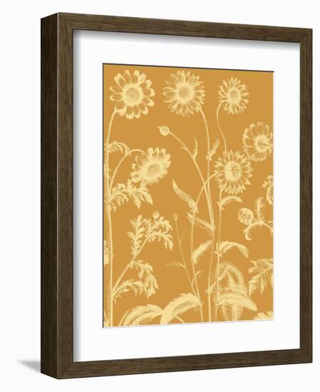 Chrysanthemum 20-Botanical Series-Framed Art Print