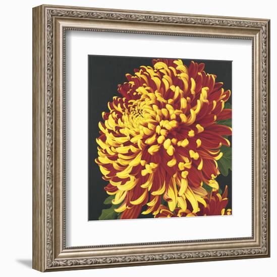 Chrysanthemum 2-Elizabeth Hellman-Framed Art Print