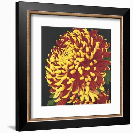 Chrysanthemum 2-Elizabeth Hellman-Framed Art Print