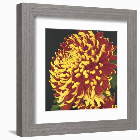 Chrysanthemum 2-Elizabeth Hellman-Framed Art Print