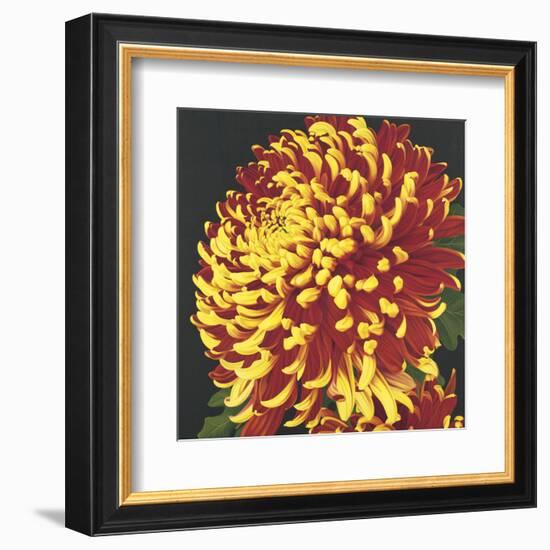 Chrysanthemum 2-Elizabeth Hellman-Framed Art Print