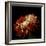 Chrysanthemum 3-Magda Indigo-Framed Photographic Print